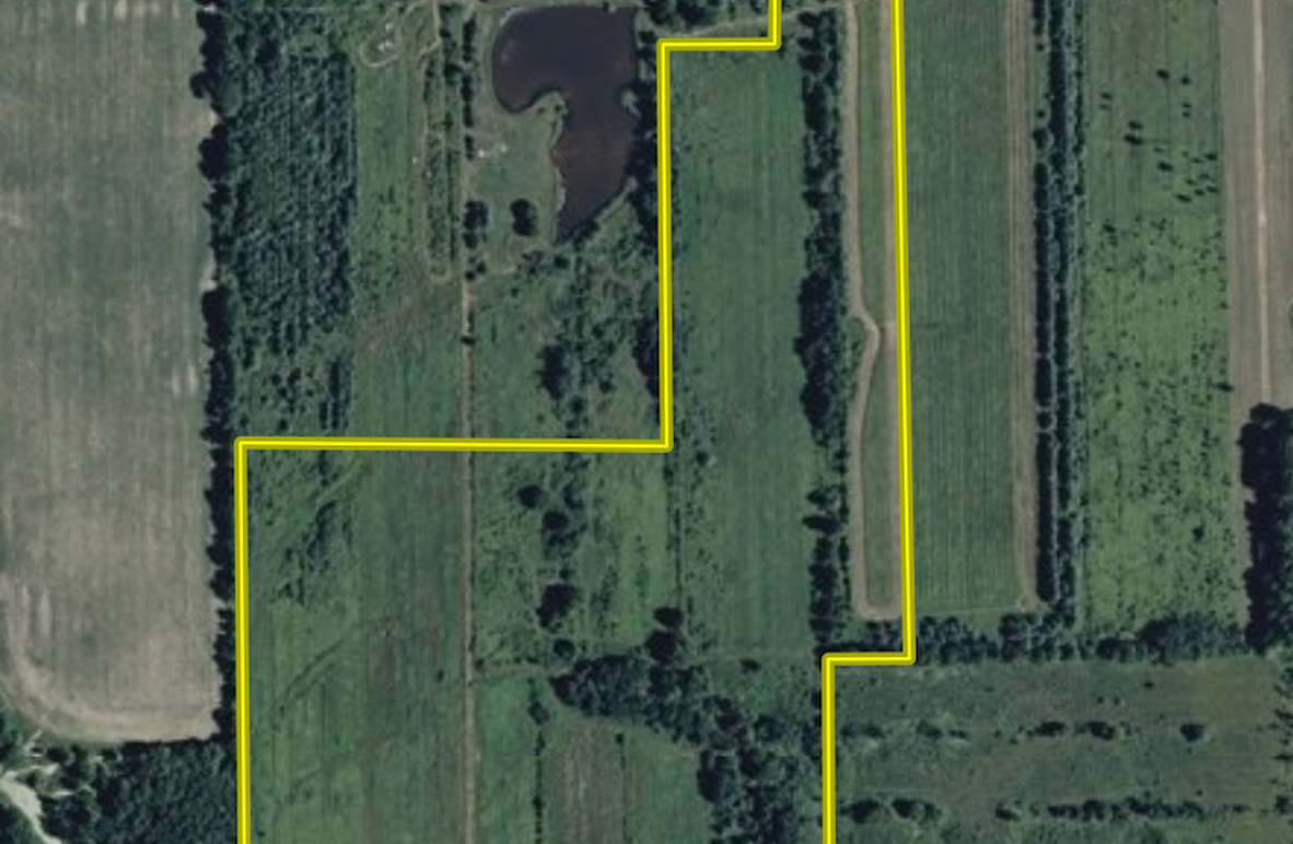 Screenshot 2026-02-17 at 5.18.27 PM