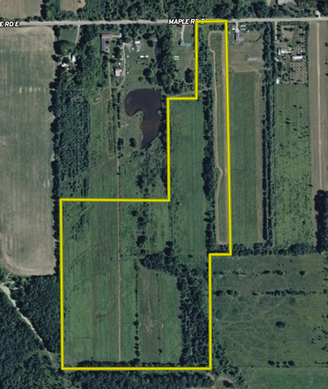 Screenshot 2026-02-17 at 5.18.27 PM