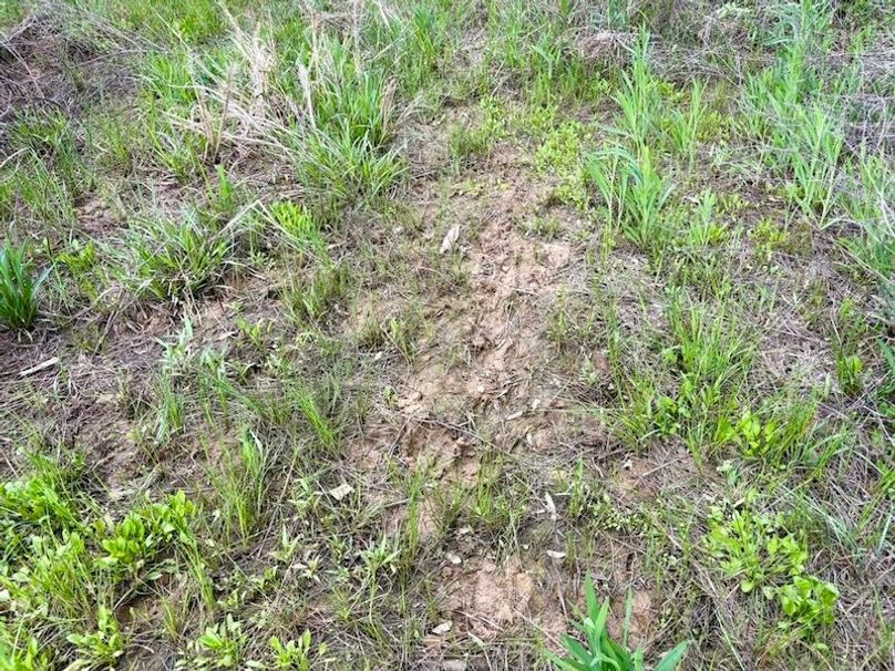 9136FC56-0040-4372-A6B2-D0811B3FCE88_1_105_c