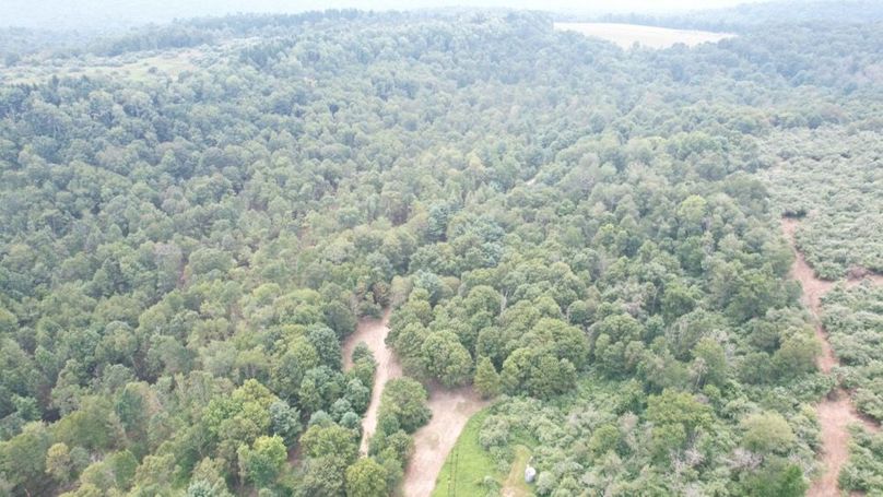 dji_fly_20250806_140914_596_1754530446639_photo