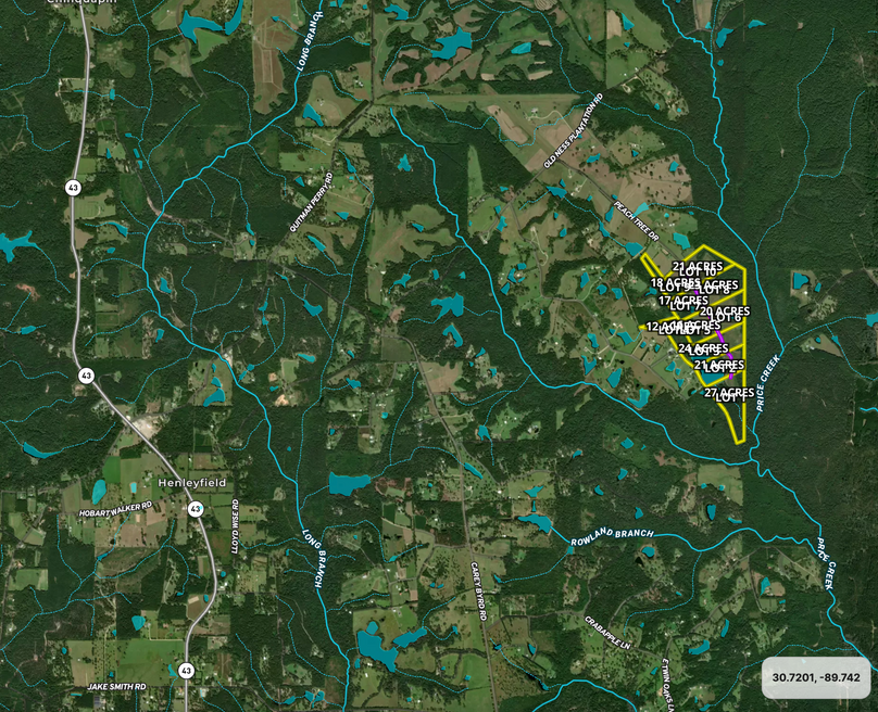 Screen Shot 2023-08-06 at 11.32.12 PM copy 2