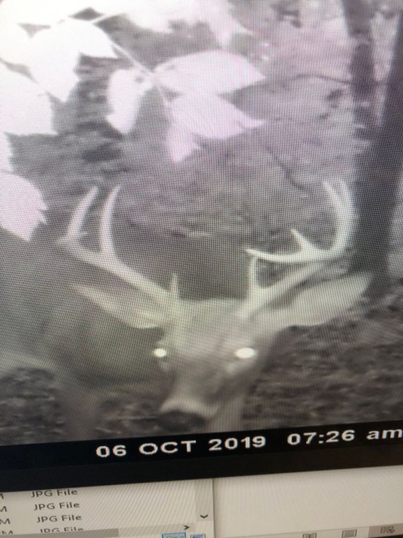 59425420669__4F3AE31D-2CAA-4F8A-80B4-F224C659B79F