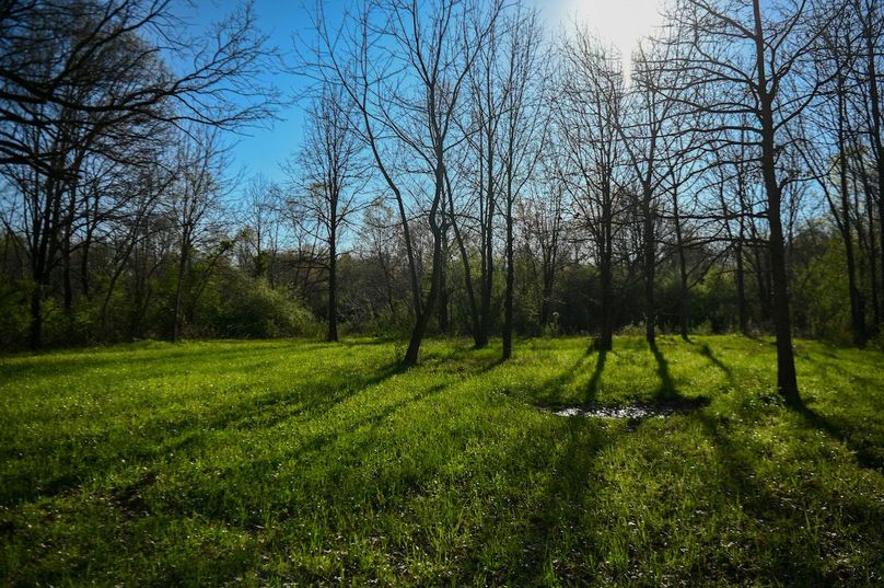 vandalia 450 (2)-2449