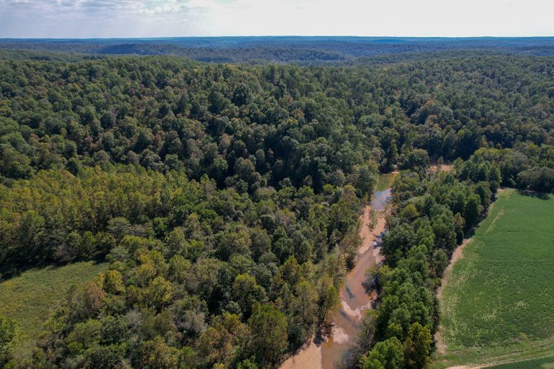 DJI_0218