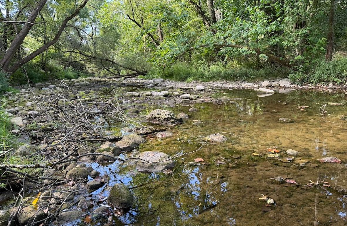 Cayuga_5.7_Cotten Photo 3