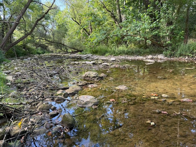 Cayuga_5.7_Cotten Photo 3