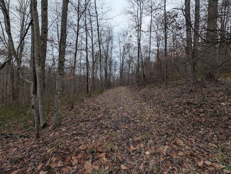 PXL_20260107_211312419.MP