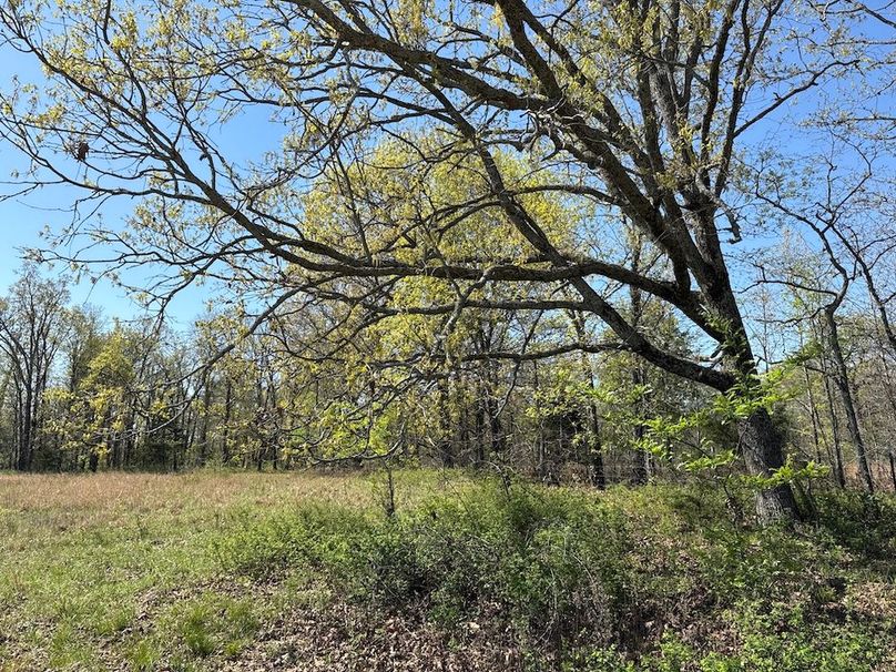 DJI_20260409_110132_682