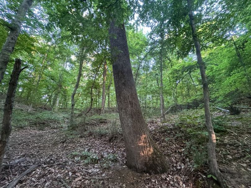 Desoto 8.3 Clement (Final Frontier) -20