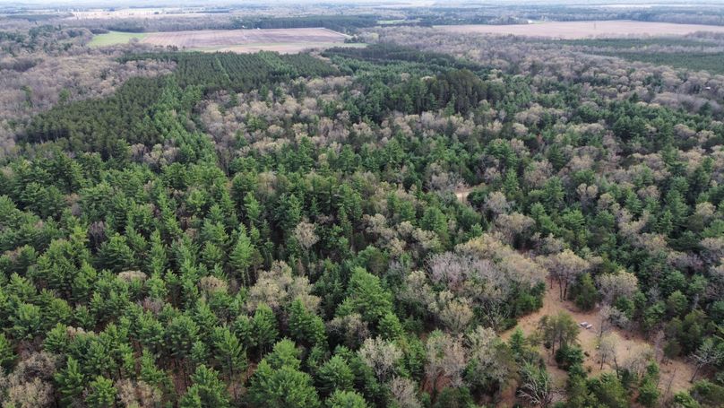 dji_fly_20230509_172016_417_1683724270292_photo_optimized