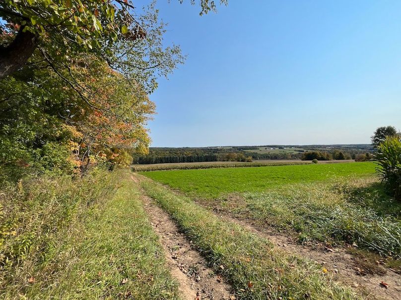 Yates_29_Stape Photo 39