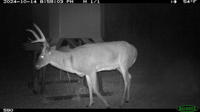 Copy of 103b161e9c926770136525acdecbae10-large