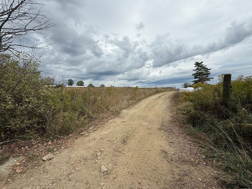 Chemung_184.12_Sterling 46