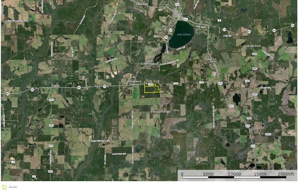 Aerial #2 - 77 Acres - Parcel A - Walton, FL. - Infinite Velocity Trust