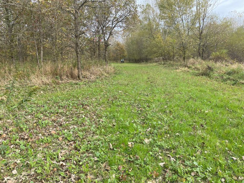 pics from late 2021 and early 2022. New plots being planted in Aug 2023 for new pics (75)