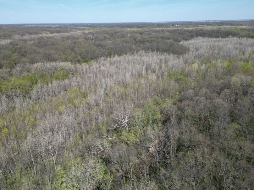 DJI_0211