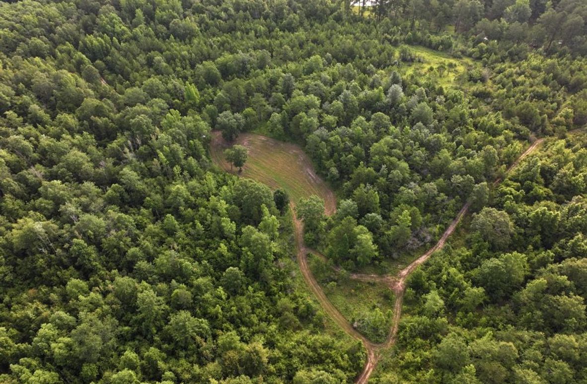 3dji_fly_20250612_080402_0088_1750261390583_photo