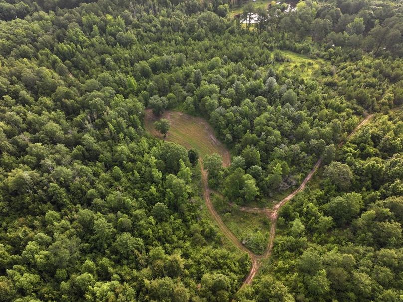 3dji_fly_20250612_080402_0088_1750261390583_photo