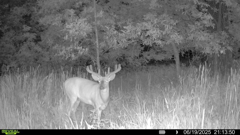 016578000207826-62-2-06202025062812-HD-SYFW09214