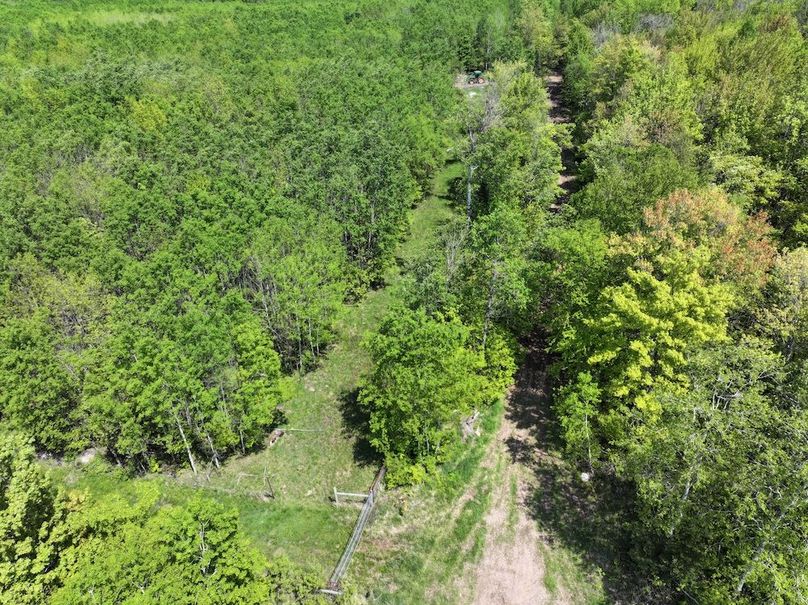 DJI_20250601162930_0003_D