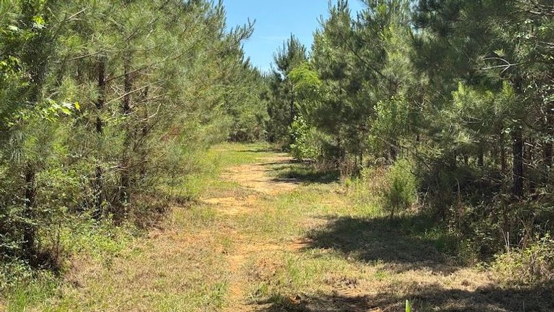 Pic 27