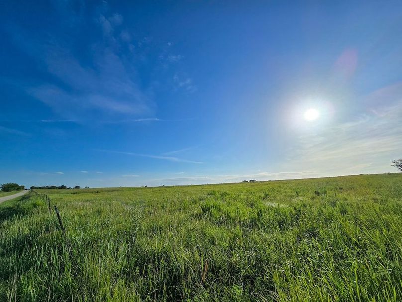 Copy of 20250729_081311