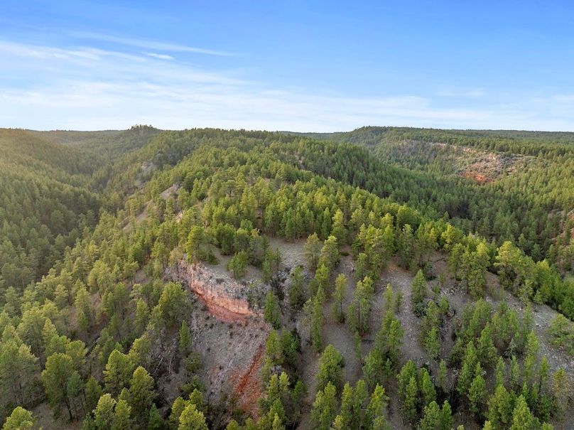 22-DJI_20250507185124_0772_D