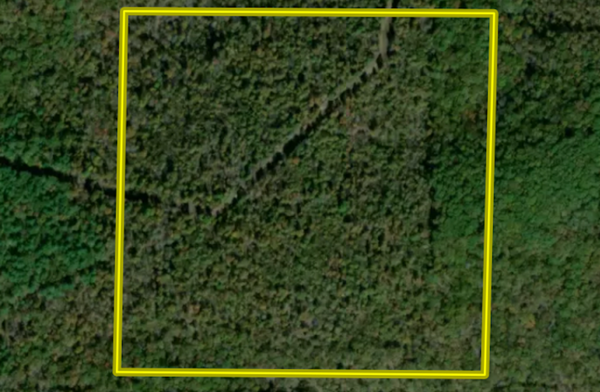 Screenshot 2025-04-03 at 10.12.05 AM