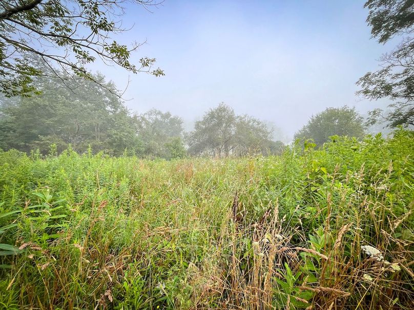 Tioga_82.5_Williams_Photos_5