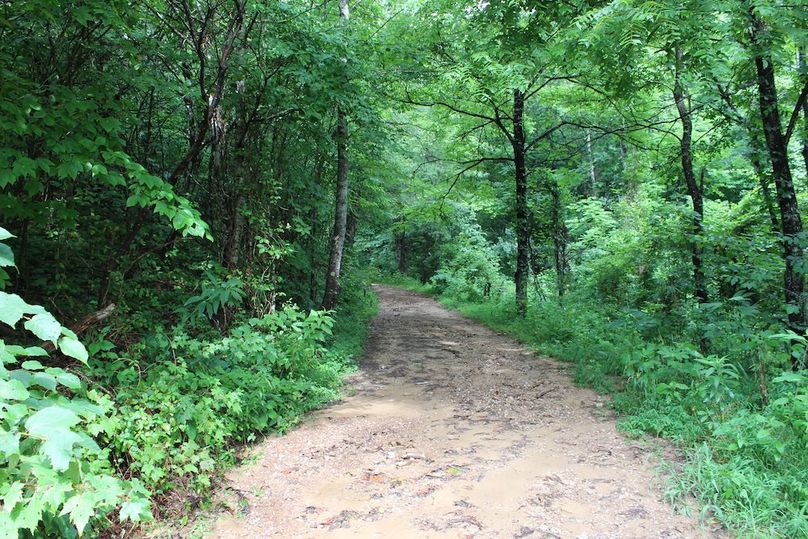 014 dirt road entrance along blacktop road