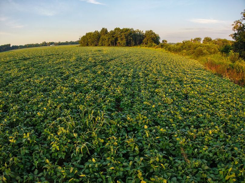 DJI_20250823071158_0929_D