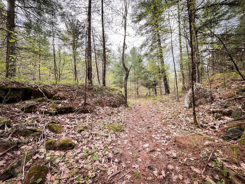 Jefferson_148.1_Flood_Photos_53