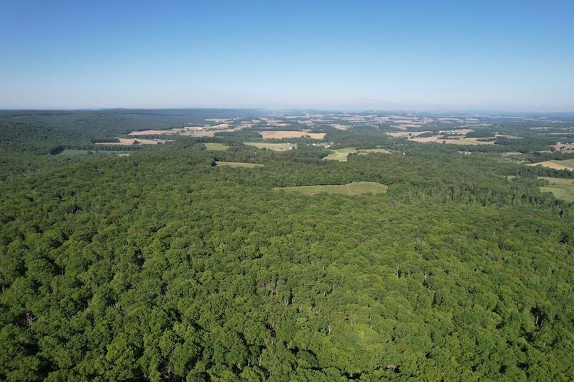 dji_fly_20260602_085144_616_1780663571550_photo