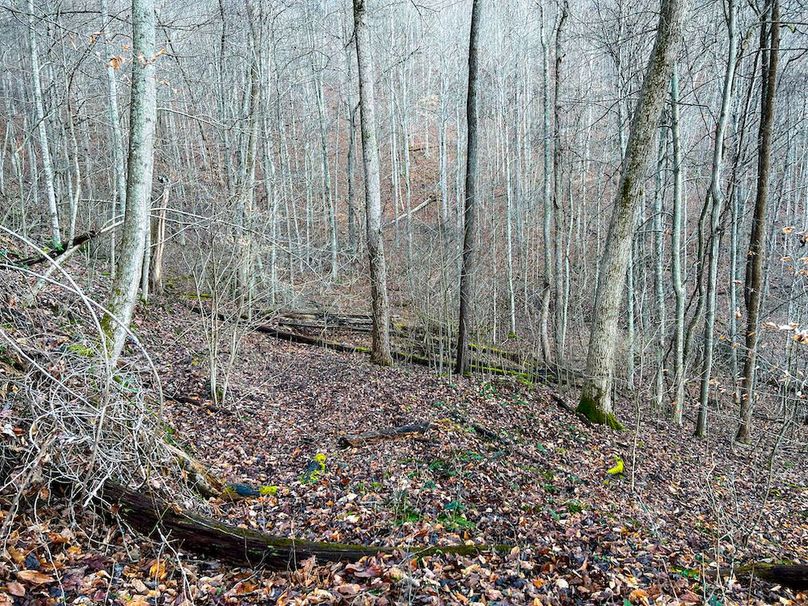 Calhoun, WV 225.69 AC Duffield-73