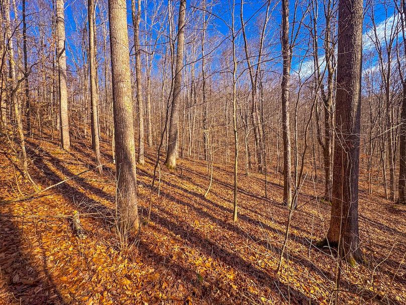 Lewis, WV 82.87 AC Barger-17