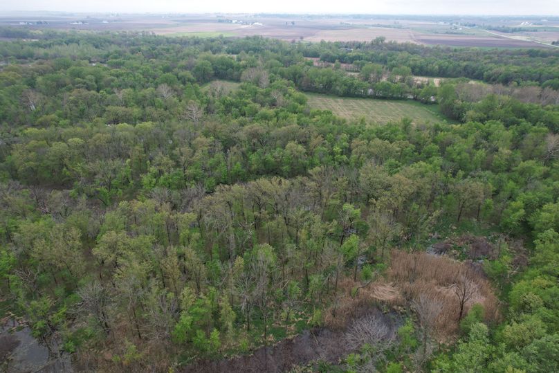 DJI_0769