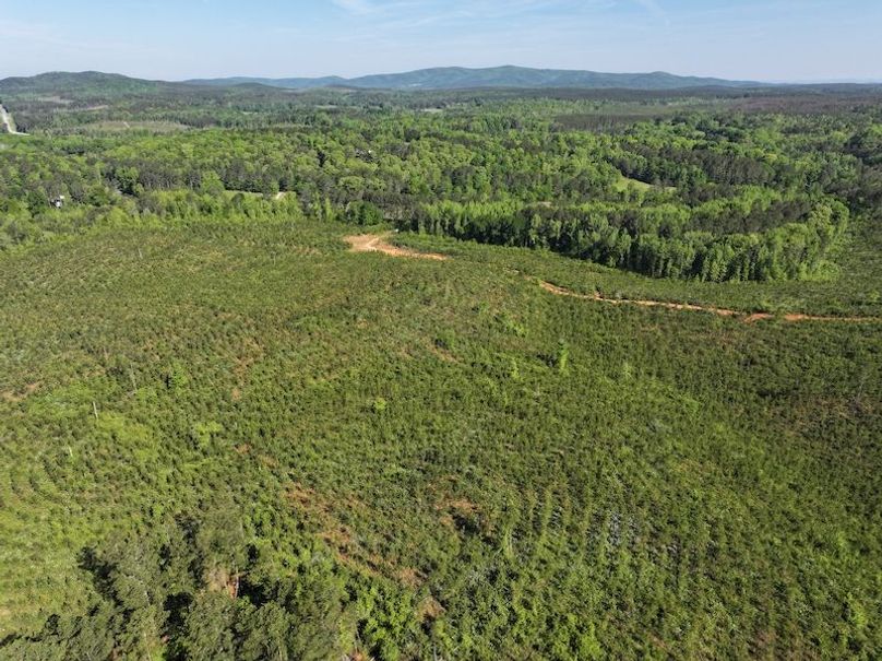 DJI_20260421100739_0653_D