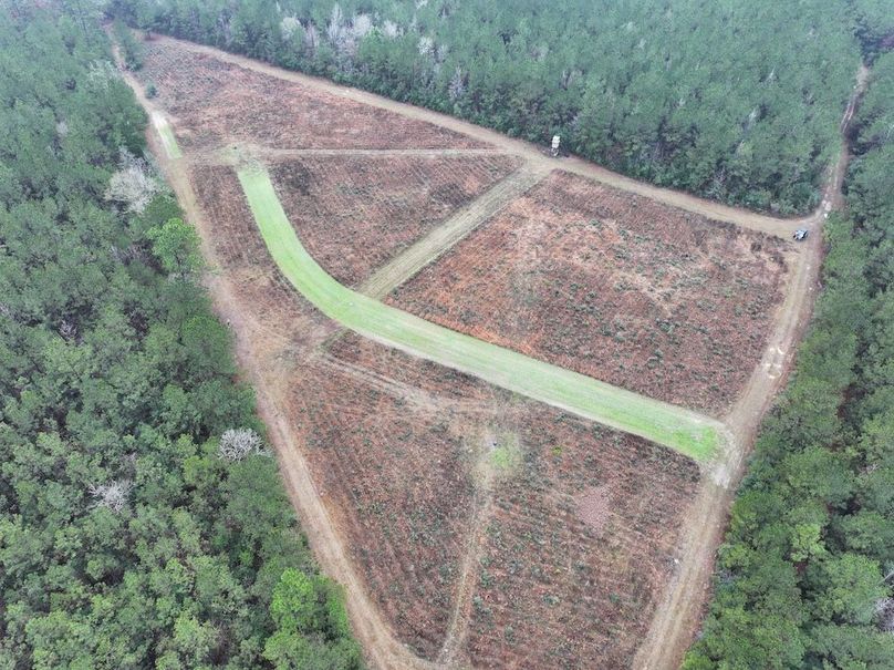 dji_fly_20260122_094032_0848_1769444815167_photo