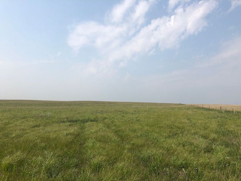25. Looking N along Eastern Boundary