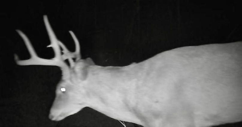 IMG_20250425_095008 (1)