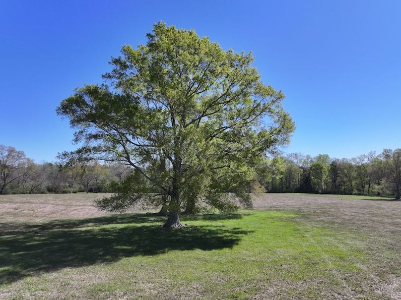 dji_fly_20260317_094220_0417_1773768870995_photo