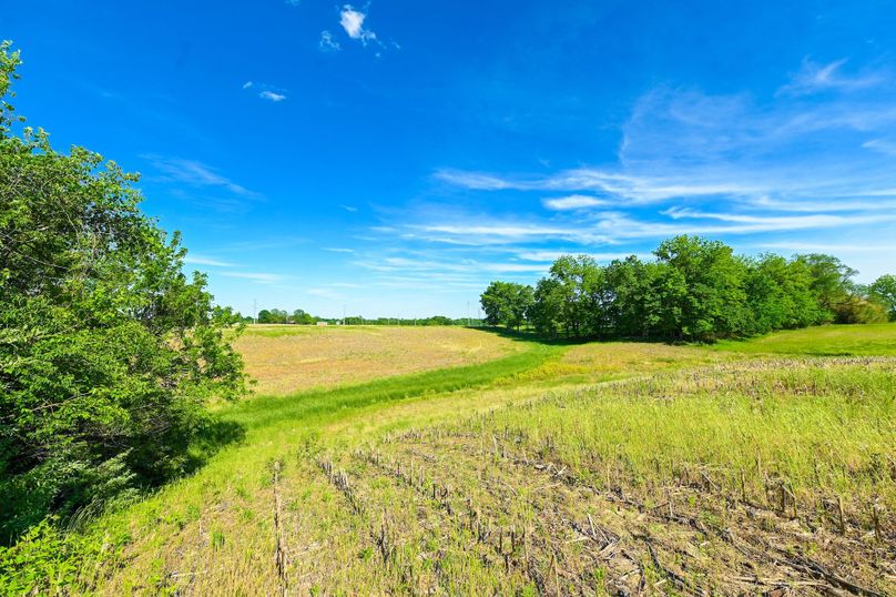 Copy of st clair 25 auction(16)