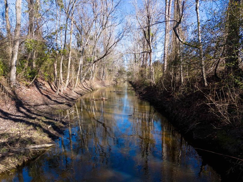 Pender NC 382 - Edits-27