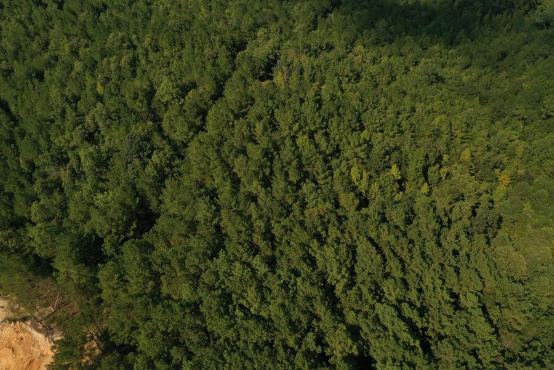 DJI_0598