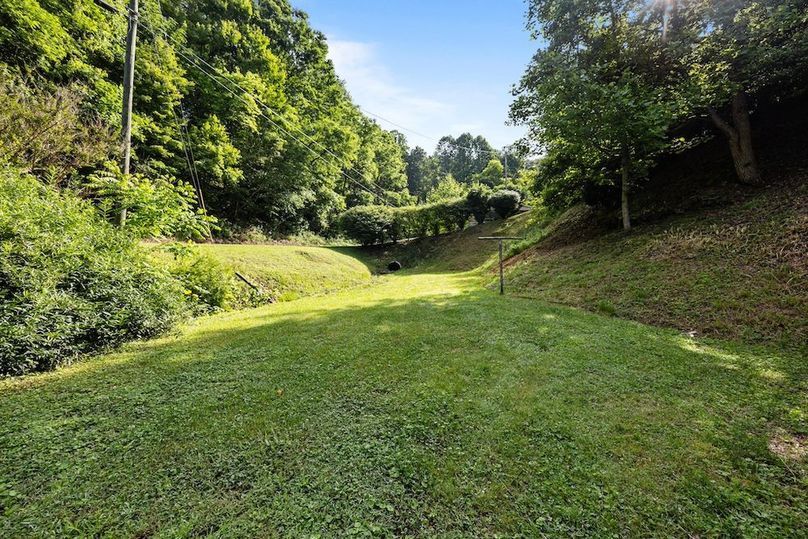 16-web-or-mls-58 Stillhouse Branch Rd 016