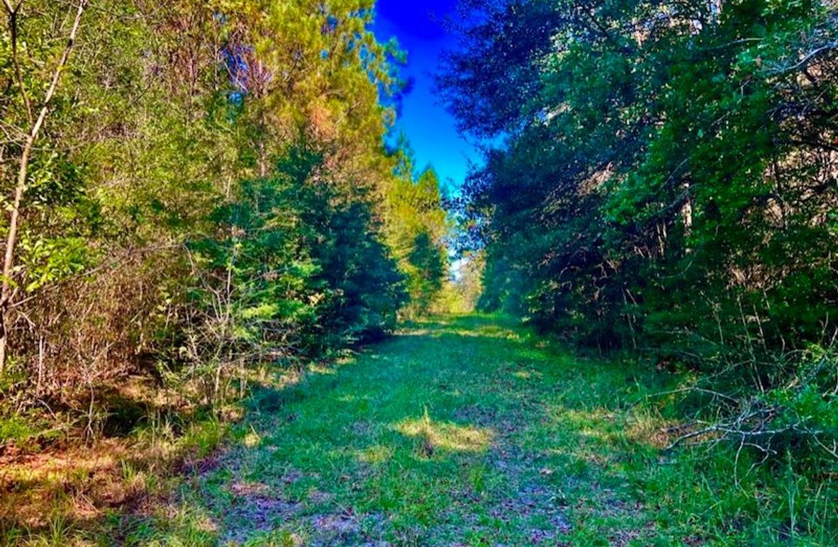 1BC1F1A5-BCA1-4D51-9757-3DAF6BB207F0_1_105_c