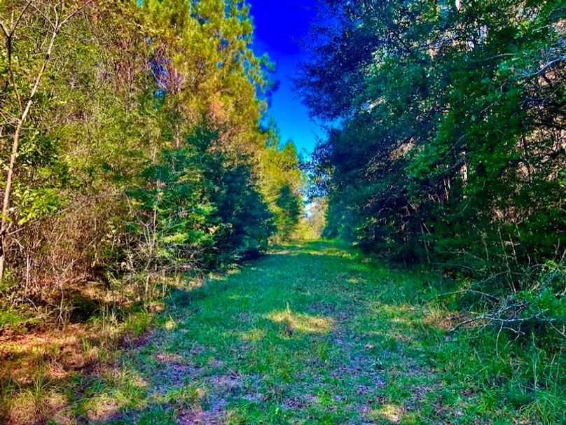 1BC1F1A5-BCA1-4D51-9757-3DAF6BB207F0_1_105_c