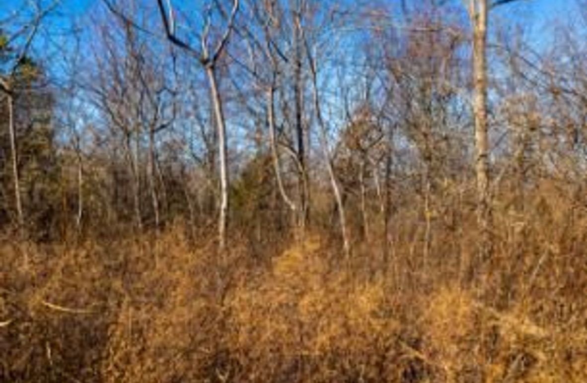 MCKINNON TRACT 17-04