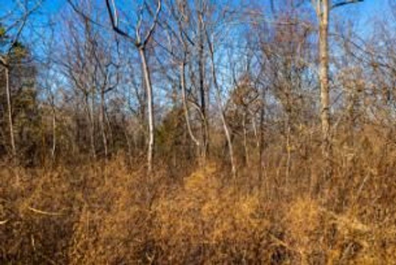 MCKINNON TRACT 17-04