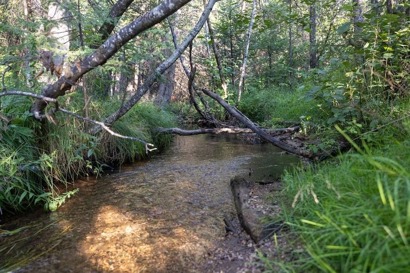 Mackinac 320 Copenhaver-100